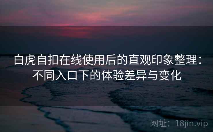 白虎自扣在线使用后的直观印象整理：不同入口下的体验差异与变化