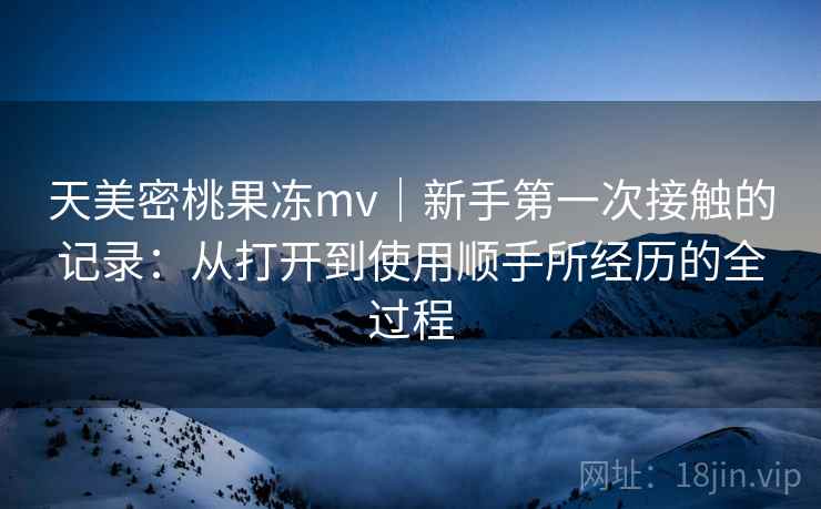 天美密桃果冻mv｜新手第一次接触的记录：从打开到使用顺手所经历的全过程