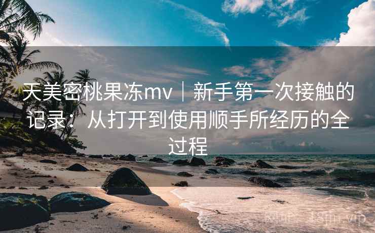 天美密桃果冻mv｜新手第一次接触的记录：从打开到使用顺手所经历的全过程