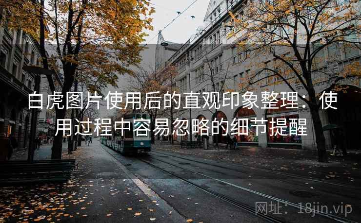 白虎图片使用后的直观印象整理：使用过程中容易忽略的细节提醒