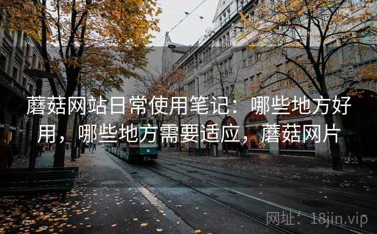 蘑菇网站日常使用笔记：哪些地方好用，哪些地方需要适应，蘑菇网片