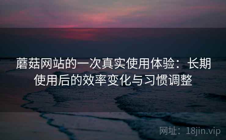 蘑菇网站的一次真实使用体验：长期使用后的效率变化与习惯调整