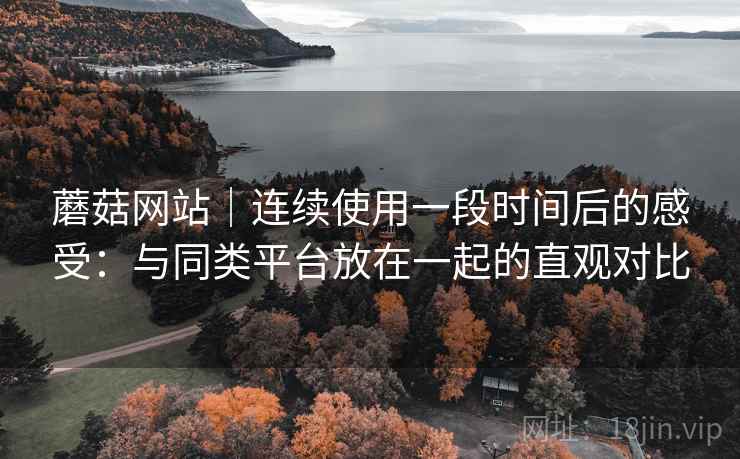 蘑菇网站｜连续使用一段时间后的感受：与同类平台放在一起的直观对比