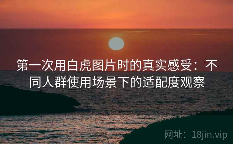 第一次用白虎图片时的真实感受：不同人群使用场景下的适配度观察
