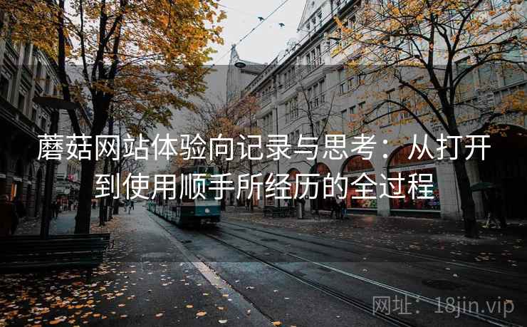 蘑菇网站体验向记录与思考：从打开到使用顺手所经历的全过程