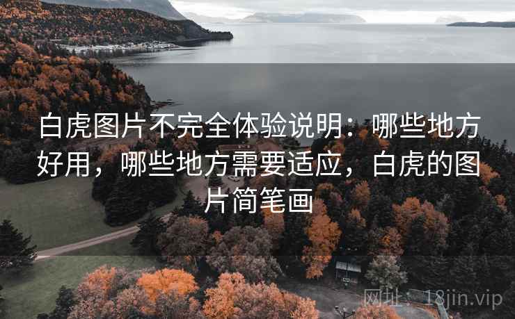 白虎图片不完全体验说明：哪些地方好用，哪些地方需要适应，白虎的图片简笔画