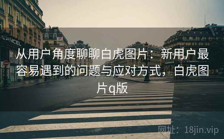 从用户角度聊聊白虎图片：新用户最容易遇到的问题与应对方式，白虎图片q版