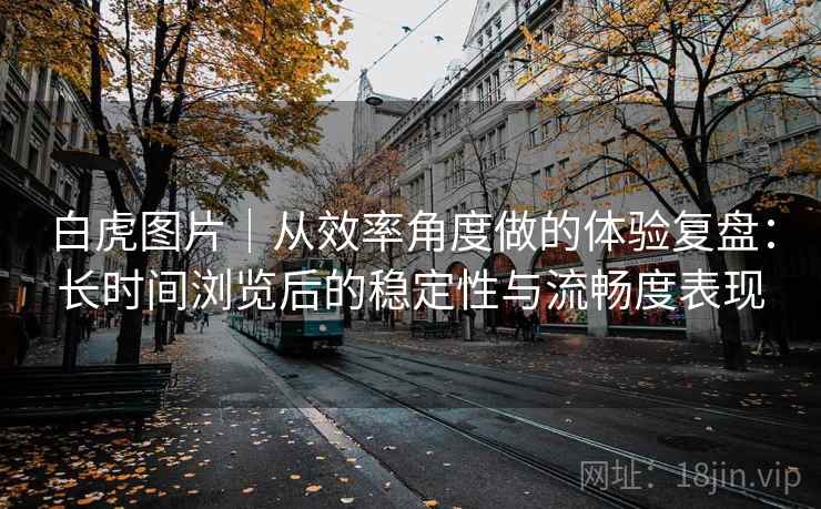 白虎图片｜从效率角度做的体验复盘：长时间浏览后的稳定性与流畅度表现