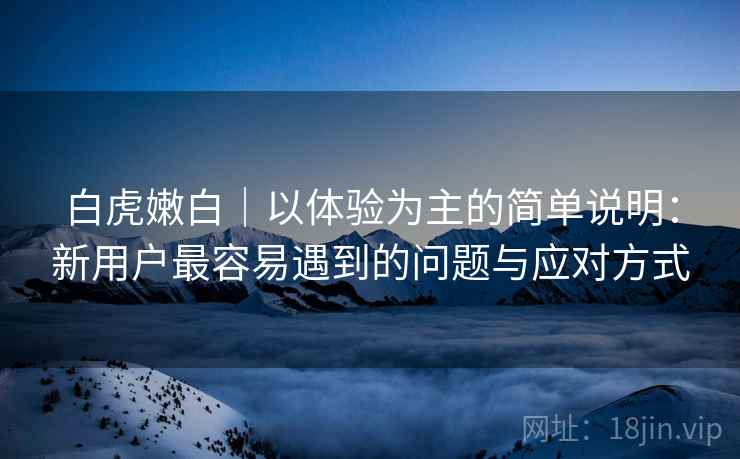 白虎嫩白｜以体验为主的简单说明：新用户最容易遇到的问题与应对方式