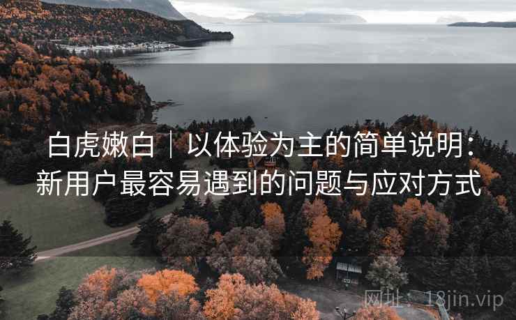 白虎嫩白｜以体验为主的简单说明：新用户最容易遇到的问题与应对方式