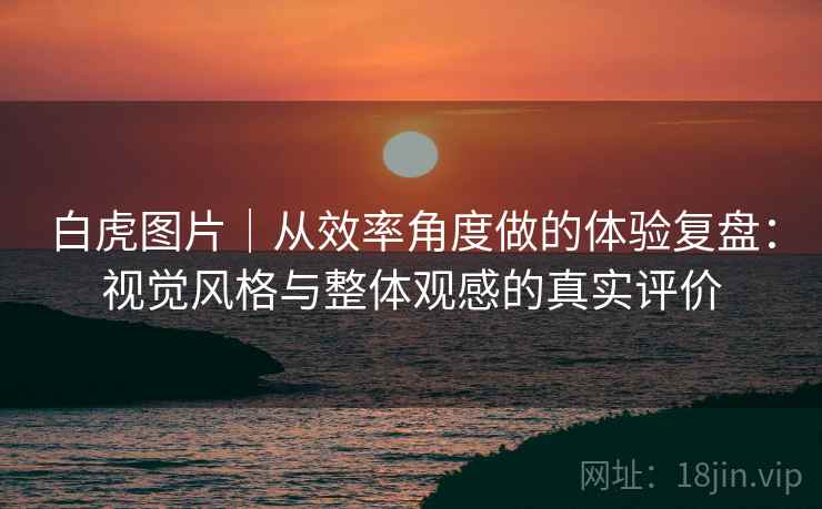 白虎图片|从效率角度做的体验复盘:视觉风格与整体观感的真实评价 白虎图片|从效率角度做的体验复盘:视觉风格与整体观感的真实评价