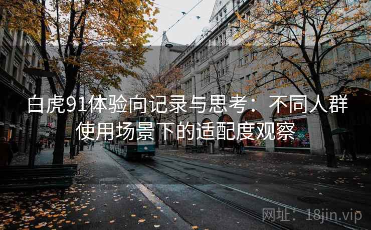 白虎91体验向记录与思考：不同人群使用场景下的适配度观察