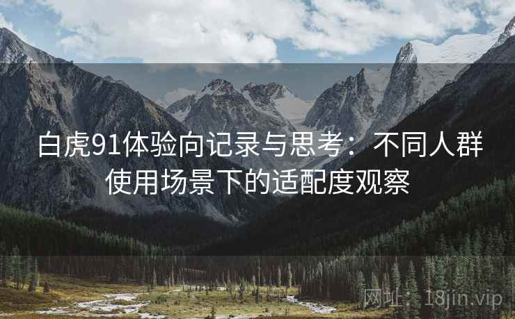 白虎91体验向记录与思考：不同人群使用场景下的适配度观察