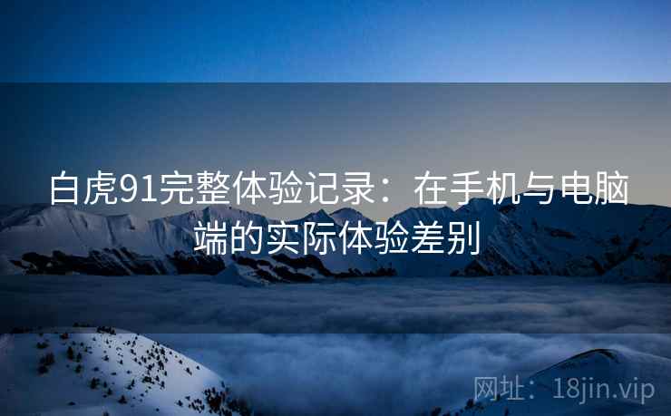 白虎91完整体验记录：在手机与电脑端的实际体验差别