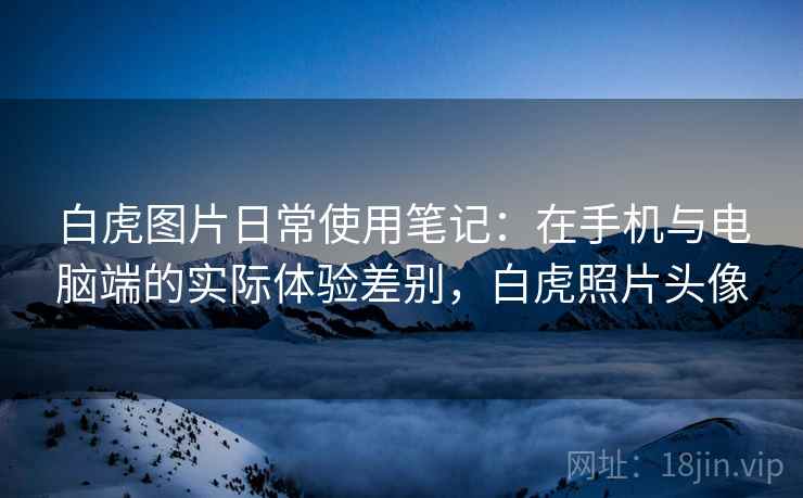 白虎图片日常使用笔记：在手机与电脑端的实际体验差别，白虎照片头像