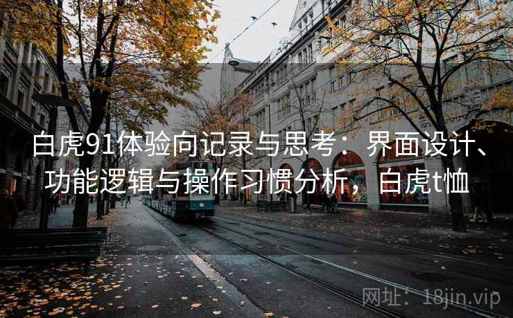 白虎91体验向记录与思考：界面设计、功能逻辑与操作习惯分析，白虎t恤