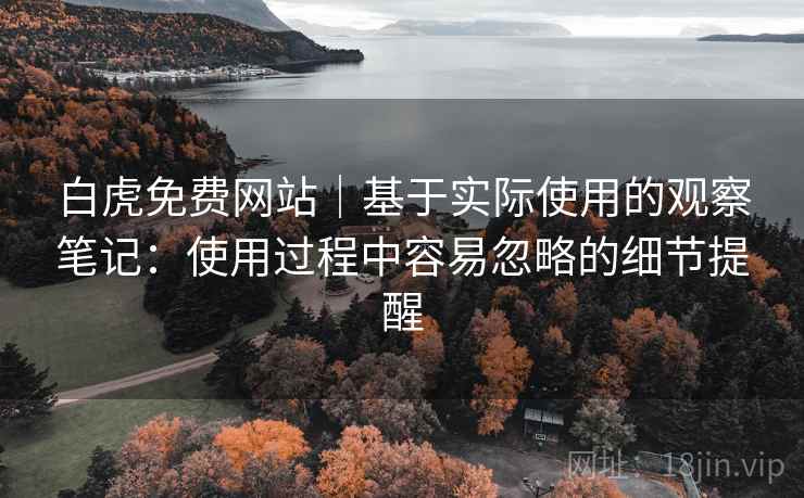 白虎免费网站｜基于实际使用的观察笔记：使用过程中容易忽略的细节提醒