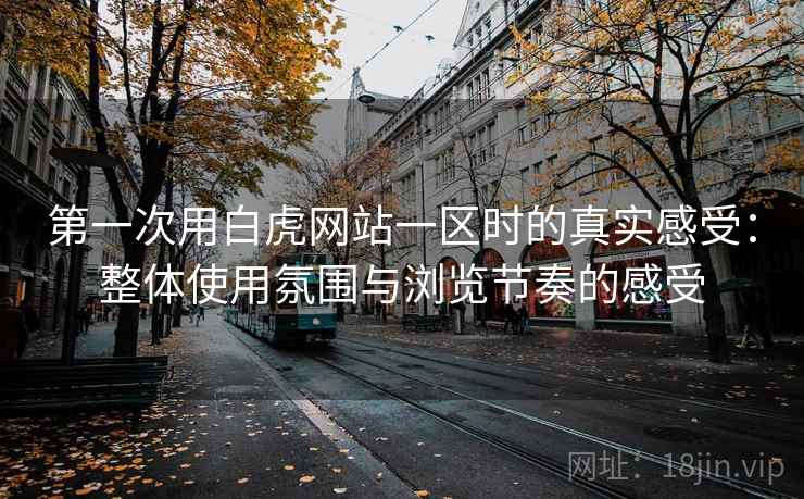 第一次用白虎网站一区时的真实感受：整体使用氛围与浏览节奏的感受