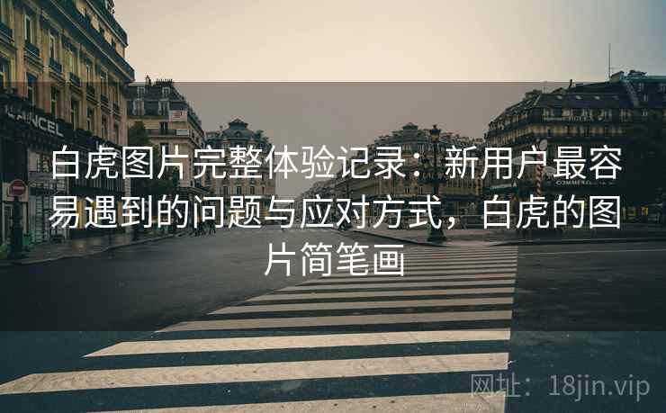 白虎图片完整体验记录：新用户最容易遇到的问题与应对方式，白虎的图片简笔画