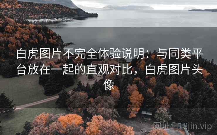 白虎图片不完全体验说明：与同类平台放在一起的直观对比，白虎图片头像