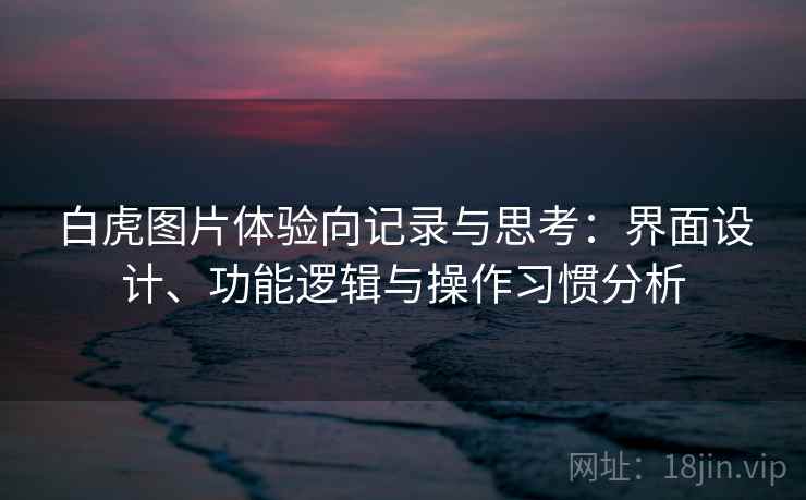 白虎图片体验向记录与思考：界面设计、功能逻辑与操作习惯分析