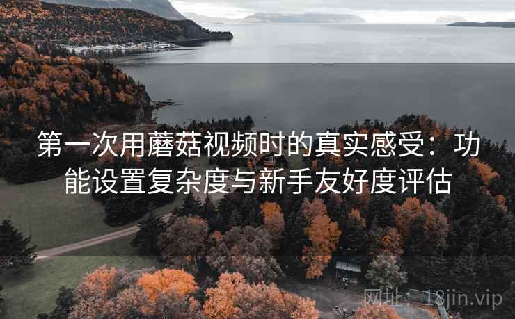 第一次用蘑菇视频时的真实感受：功能设置复杂度与新手友好度评估