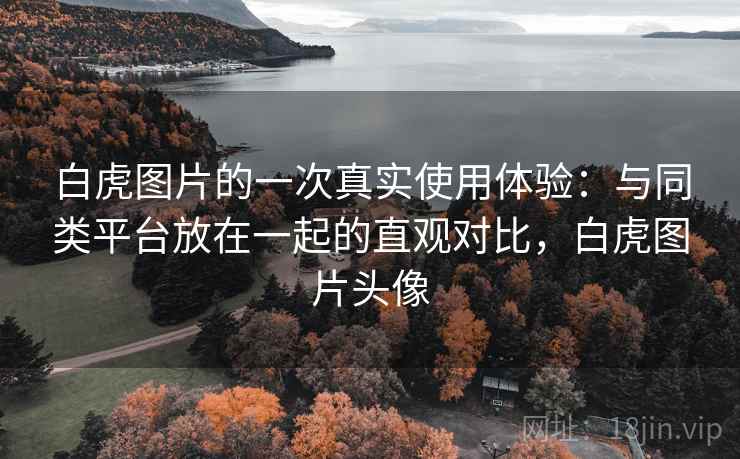 白虎图片的一次真实使用体验:与同类平台放在一起的直观对比,白虎图片头像 白虎图片的一次真实使用体验:与同类平台放在一起的直观对比,白虎图片头像
