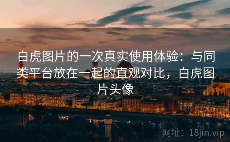白虎图片的一次真实使用体验：与同类平台放在一起的直观对比，白虎图片头像